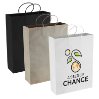 Paper Kraft Shopping Bag PPB007